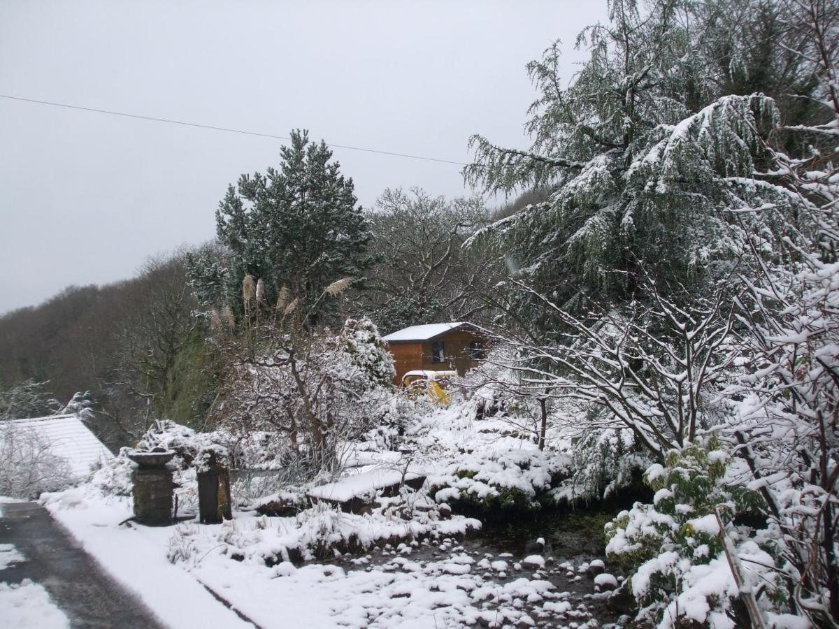 Cwmbach Guest House Neath Exterior foto