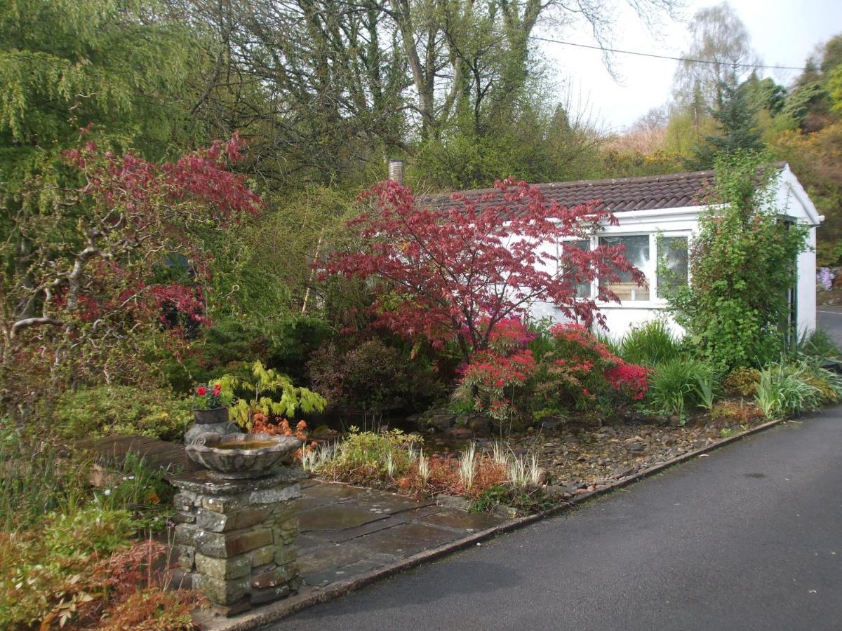 Cwmbach Guest House Neath Exterior foto