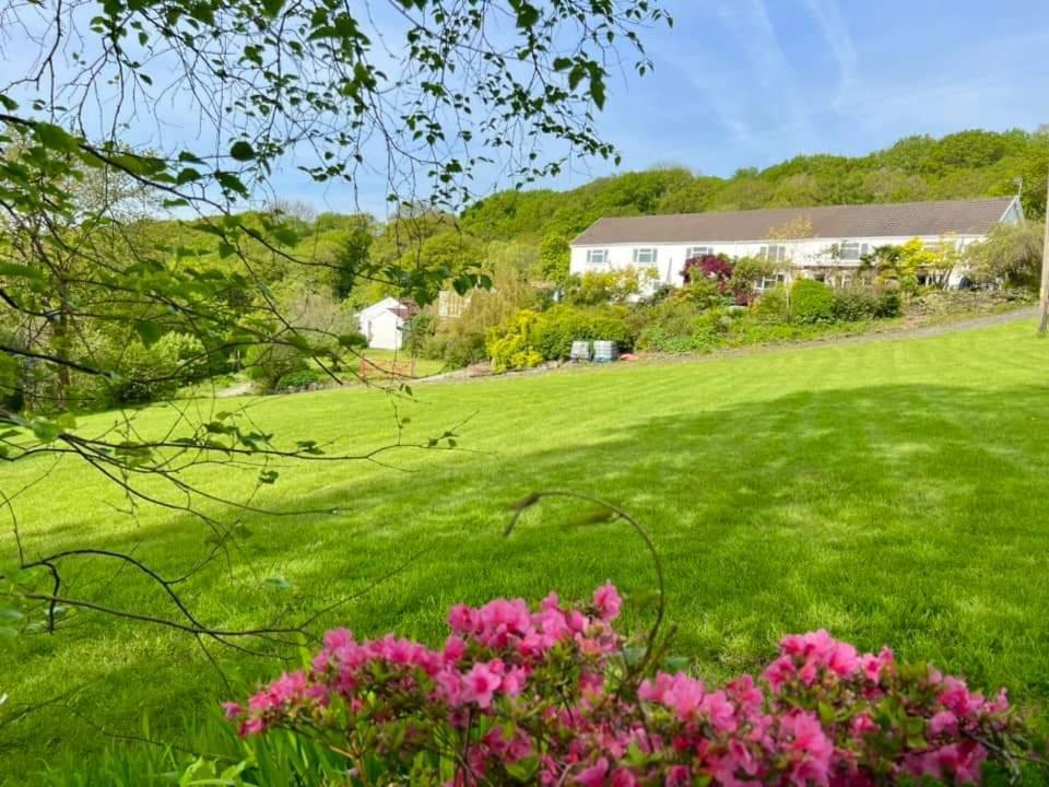 Cwmbach Guest House Neath Habitación foto