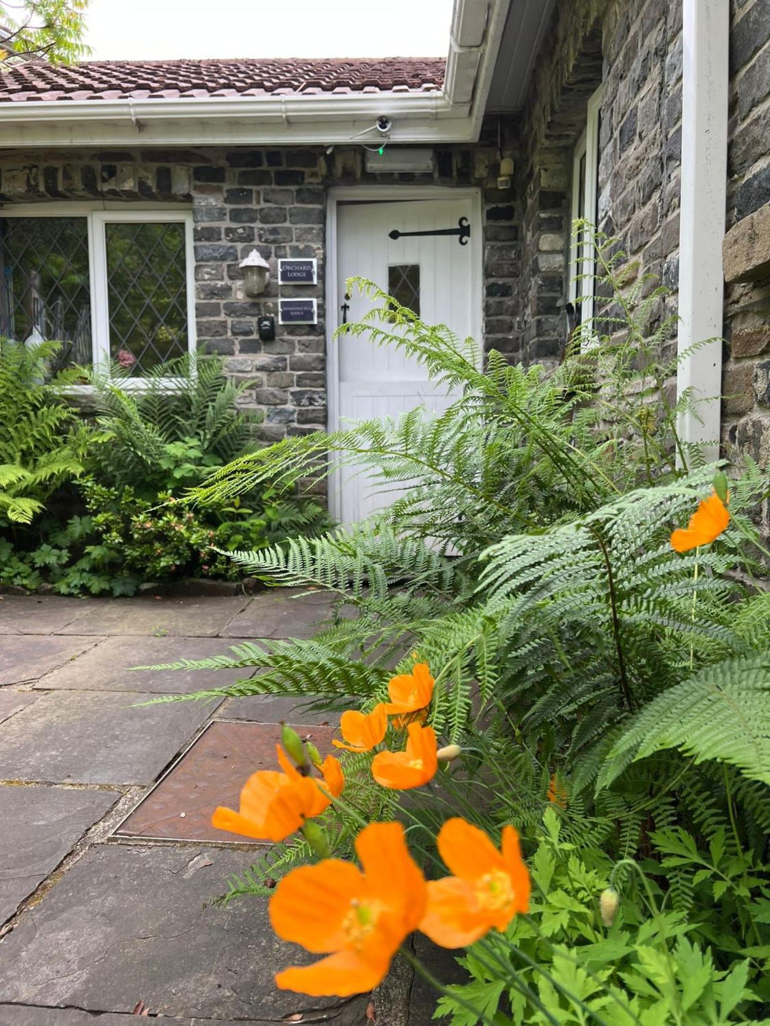 Cwmbach Guest House Neath Exterior foto