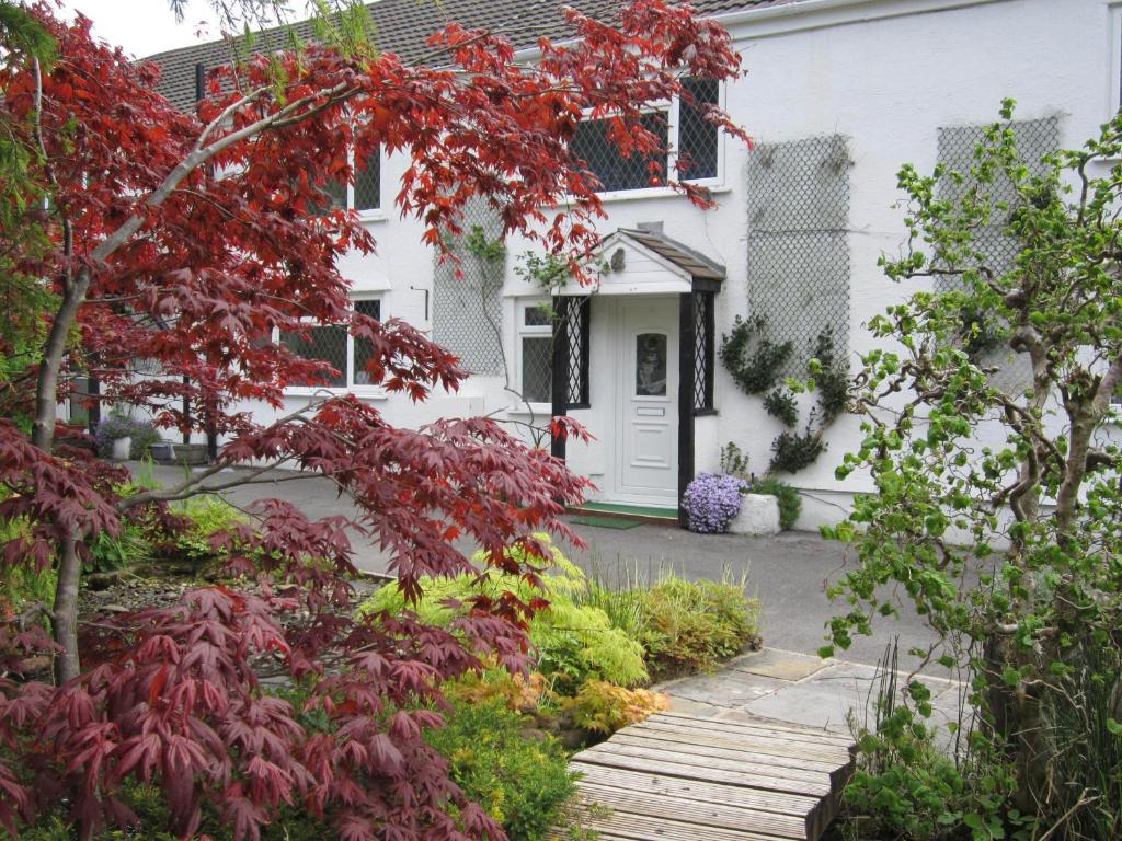 Cwmbach Guest House Neath Exterior foto