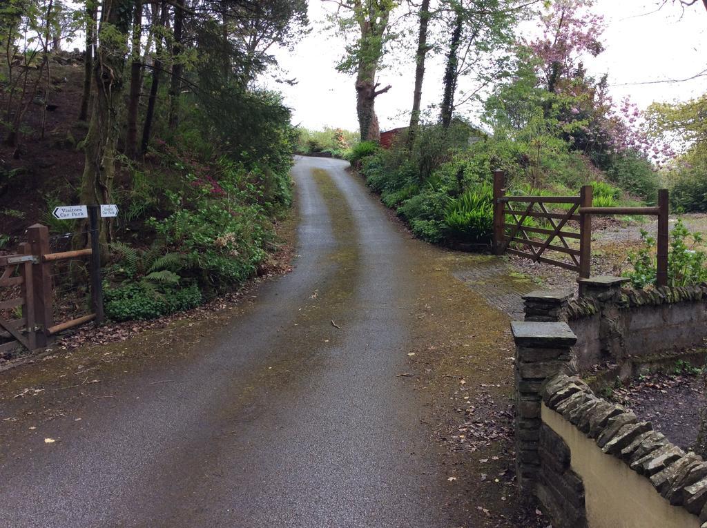 Cwmbach Guest House Neath Exterior foto